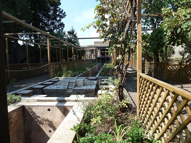 42. Maison d'Octavius Quartus